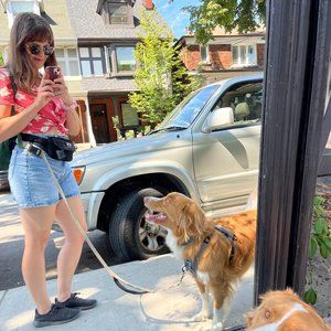 Meet your Posher, Alex (and her sidekick Sully!)